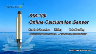 KIS-100 Online calciumionensensor