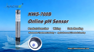 KWS-700B Online PH-stikstofsensoroverzicht, bedrading en gegevens lezen